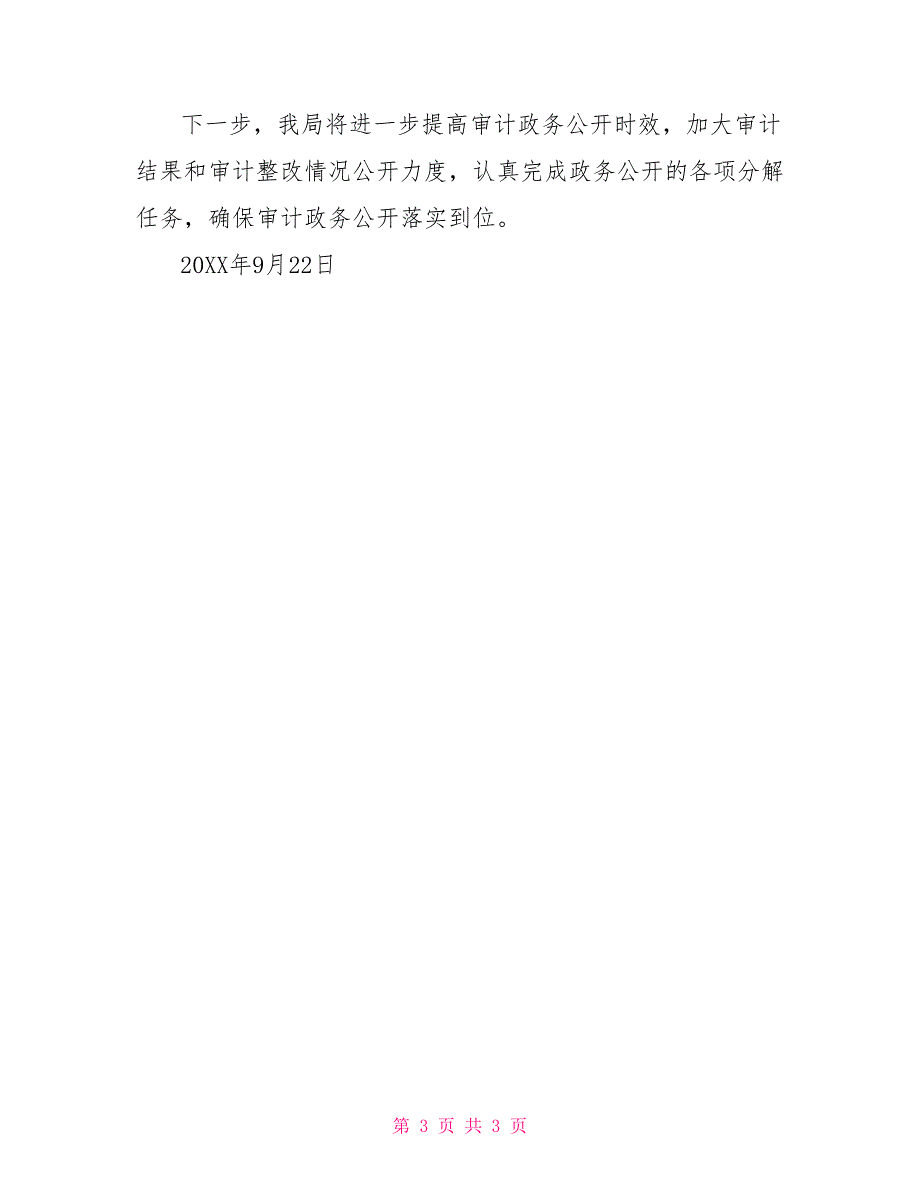 审计局政务公开自查报告_第3页