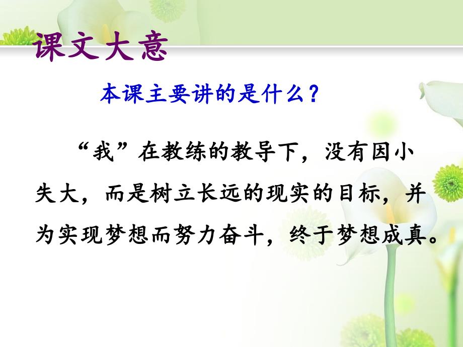 第十五课课文二《梦想的价值》课件_第4页