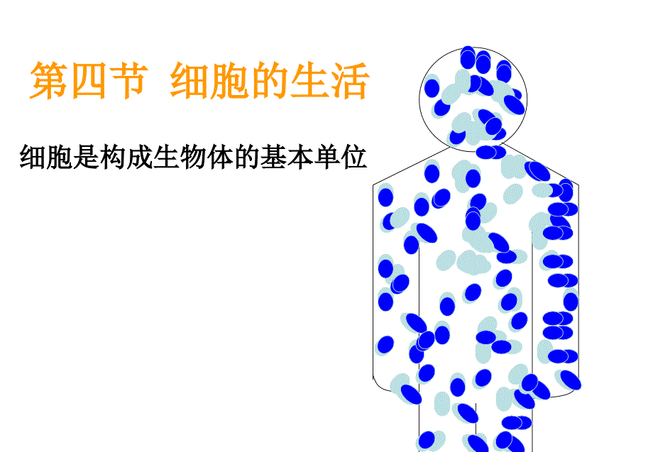 细胞的生活课件_第1页