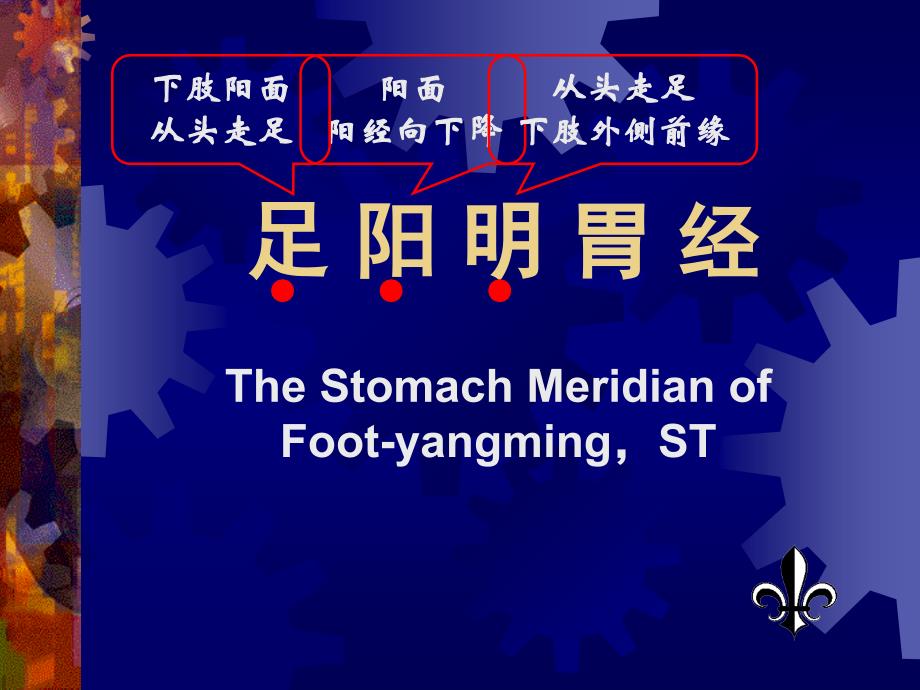 05足阳明胃经解析_第1页