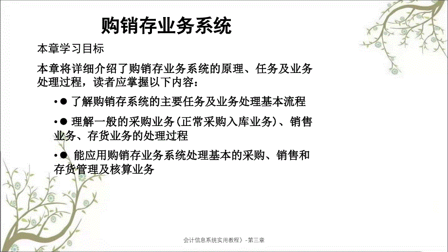 会计信息系统实用教程第三章课件_第2页