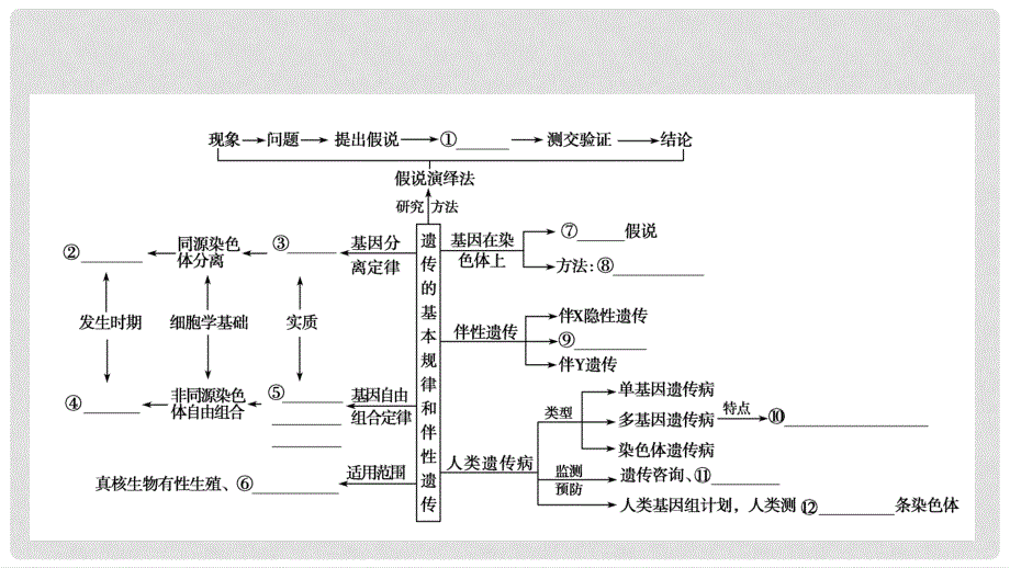 高考生物大二轮专题复习 专题四 遗传、变异和进化 4.2 遗传的基本规律和伴性遗传课件_第3页