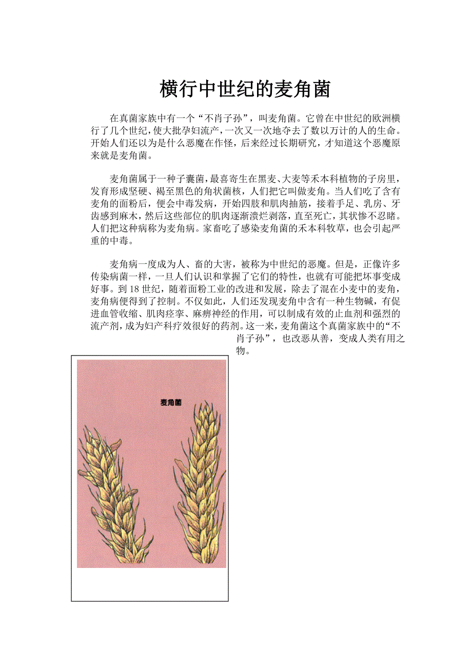 横行中世纪的麦角菌_第1页