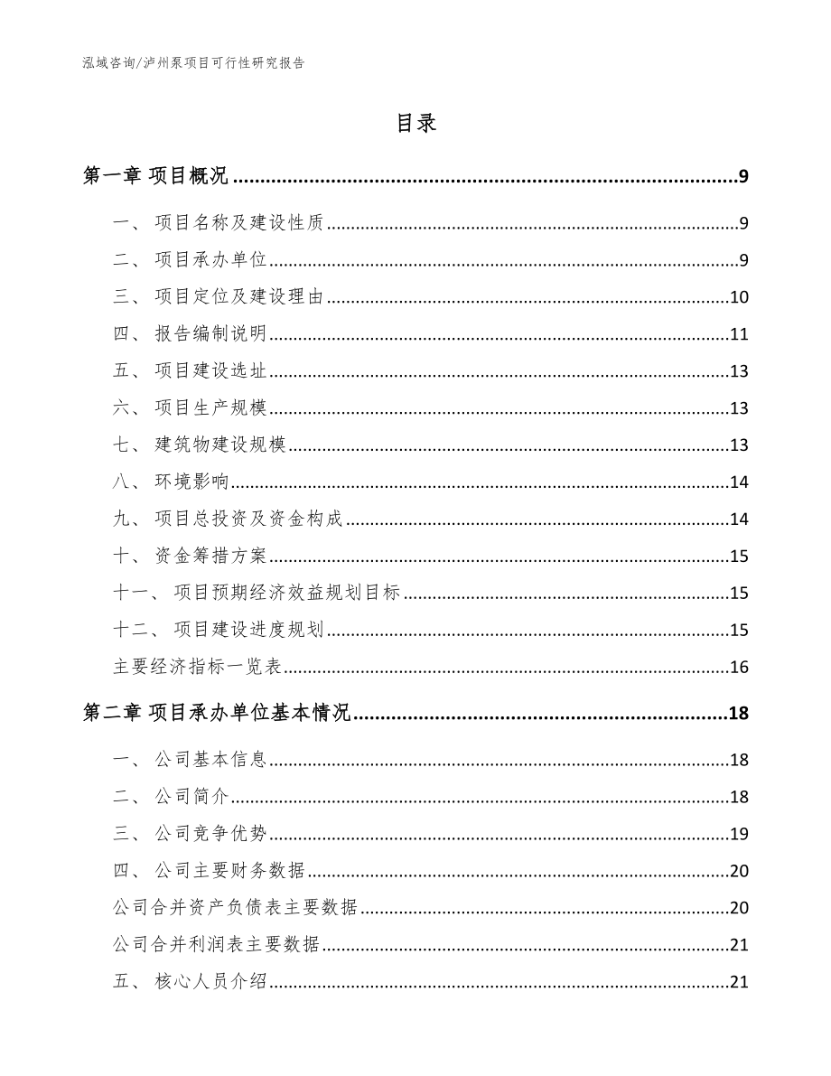 泸州泵项目可行性研究报告参考模板_第2页