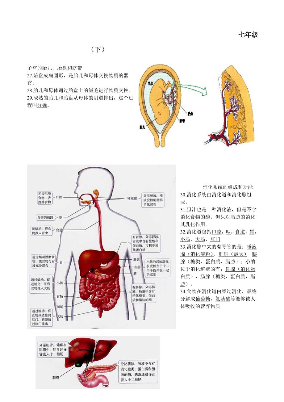 生物会考复习资料：初中生物图集)_第4页