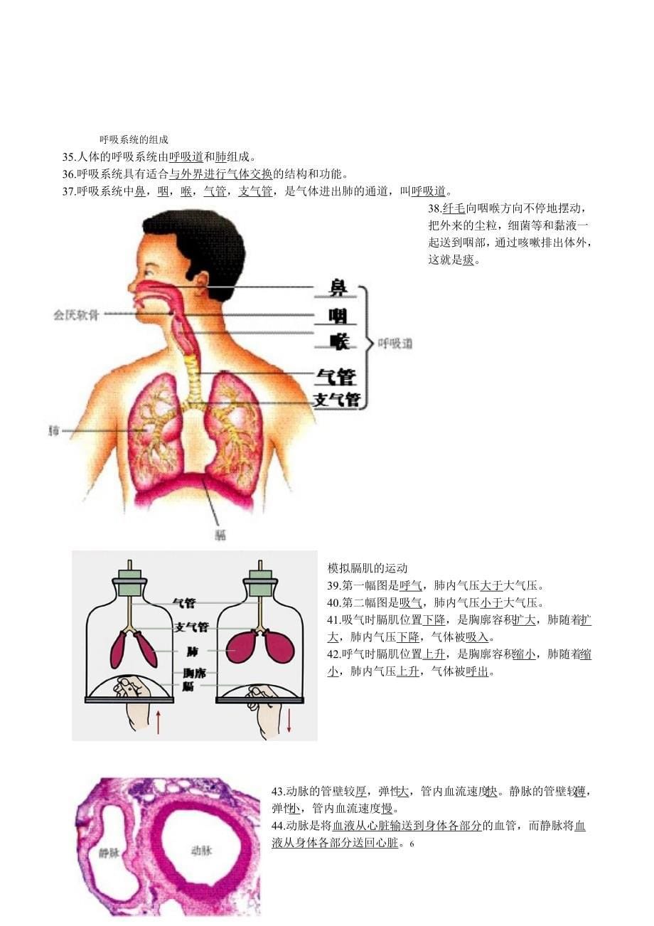 生物会考复习资料：初中生物图集)_第5页