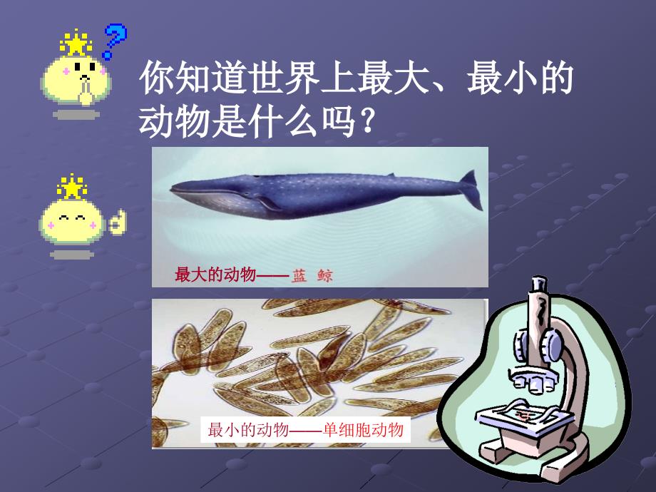 93单细胞的生物体_第1页