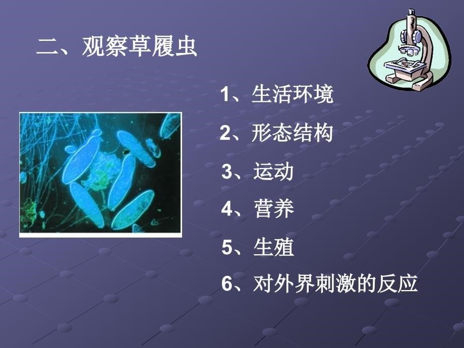 93单细胞的生物体_第5页