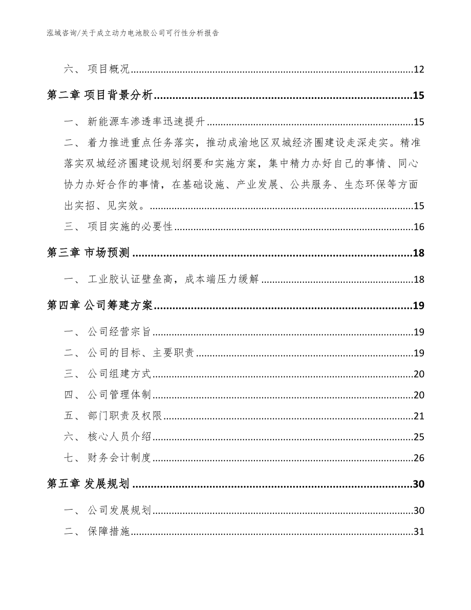 关于成立动力电池胶公司可行性分析报告_第4页