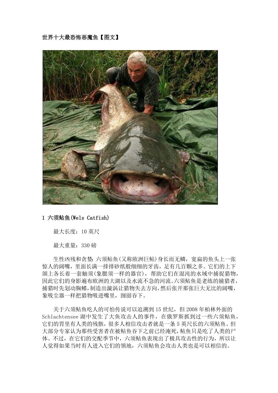 世界十大最恶魔鱼【图文】.docx_第1页