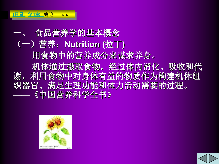 【食品营养学】204页 ppt 课件_第4页