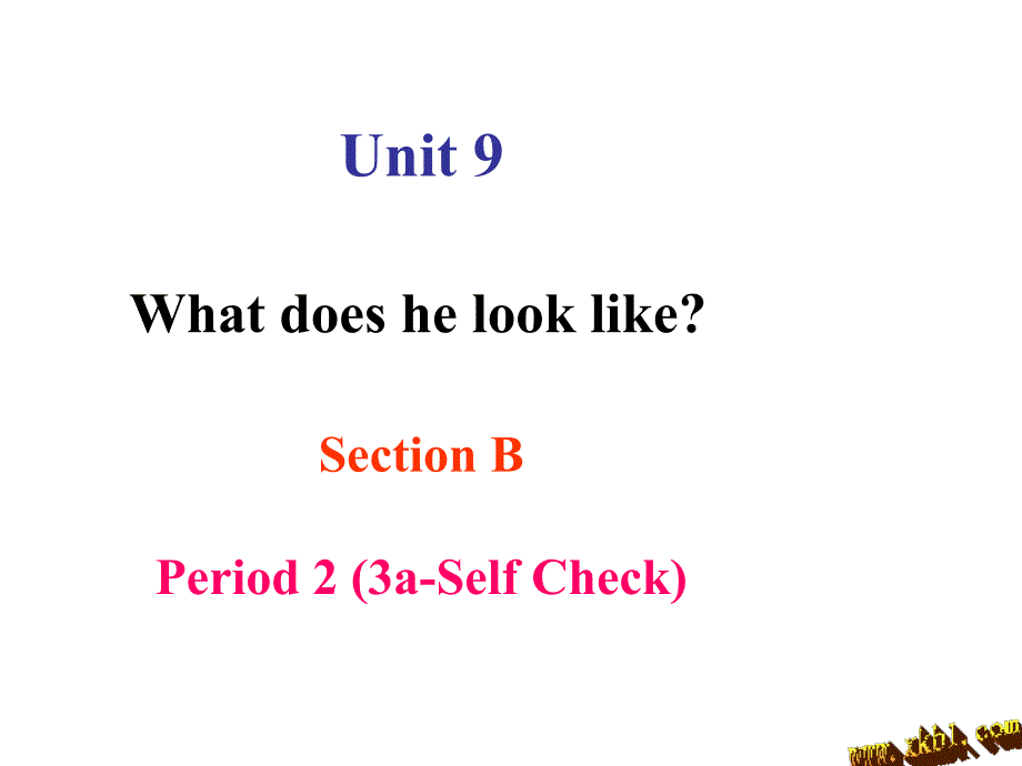 人教新目标版七年级英语下册Unit9Whatdoeshelooklike？SectionB3aselfcheckppt_第1页