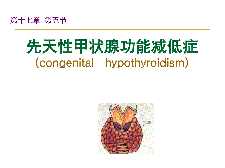 《内分泌疾病》PPT课件_第3页