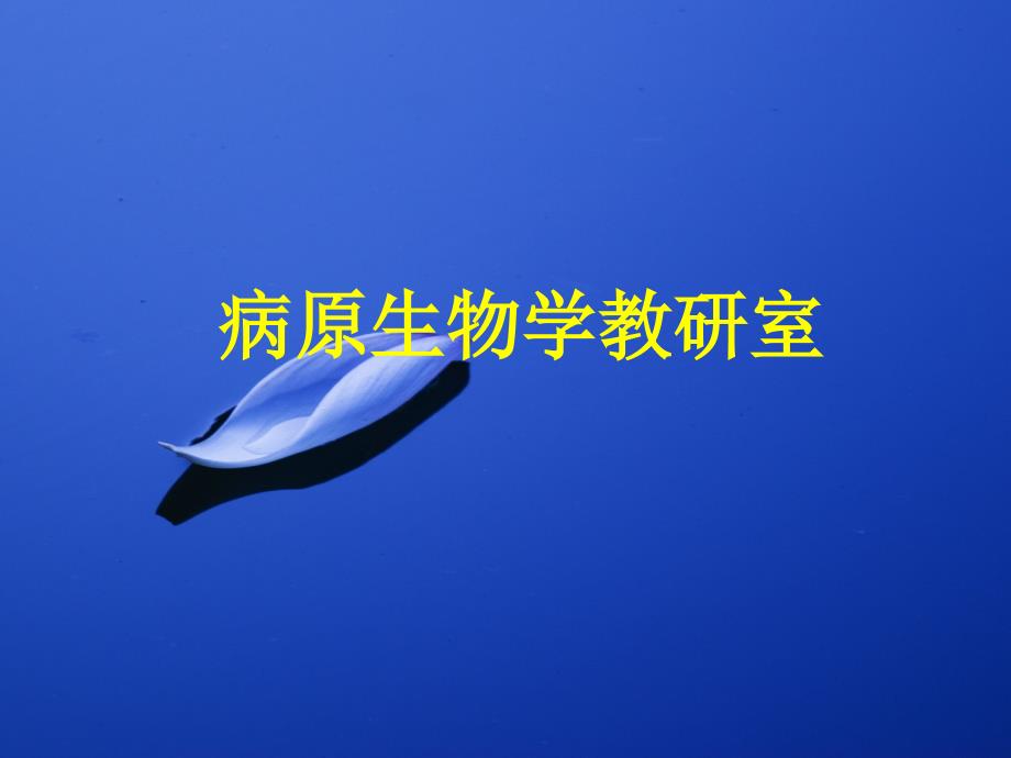 沙门菌属 ppt课件_第1页