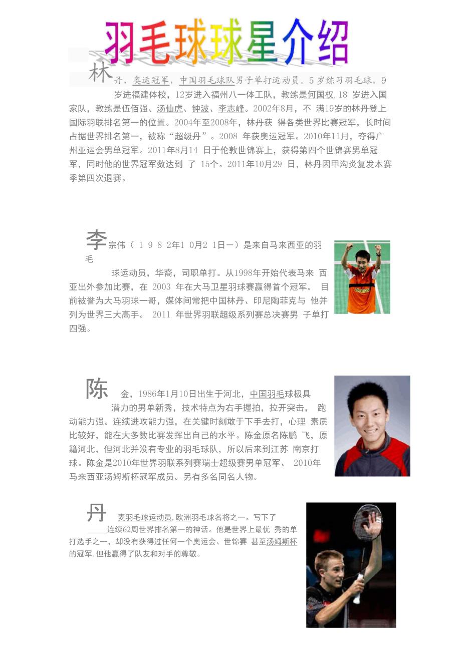 羽毛球球星介绍_第1页