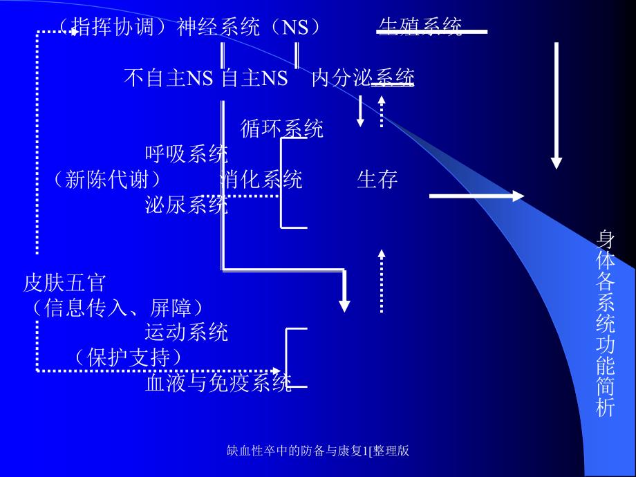 缺血性卒中的防备与康复1[整理版课件_第3页