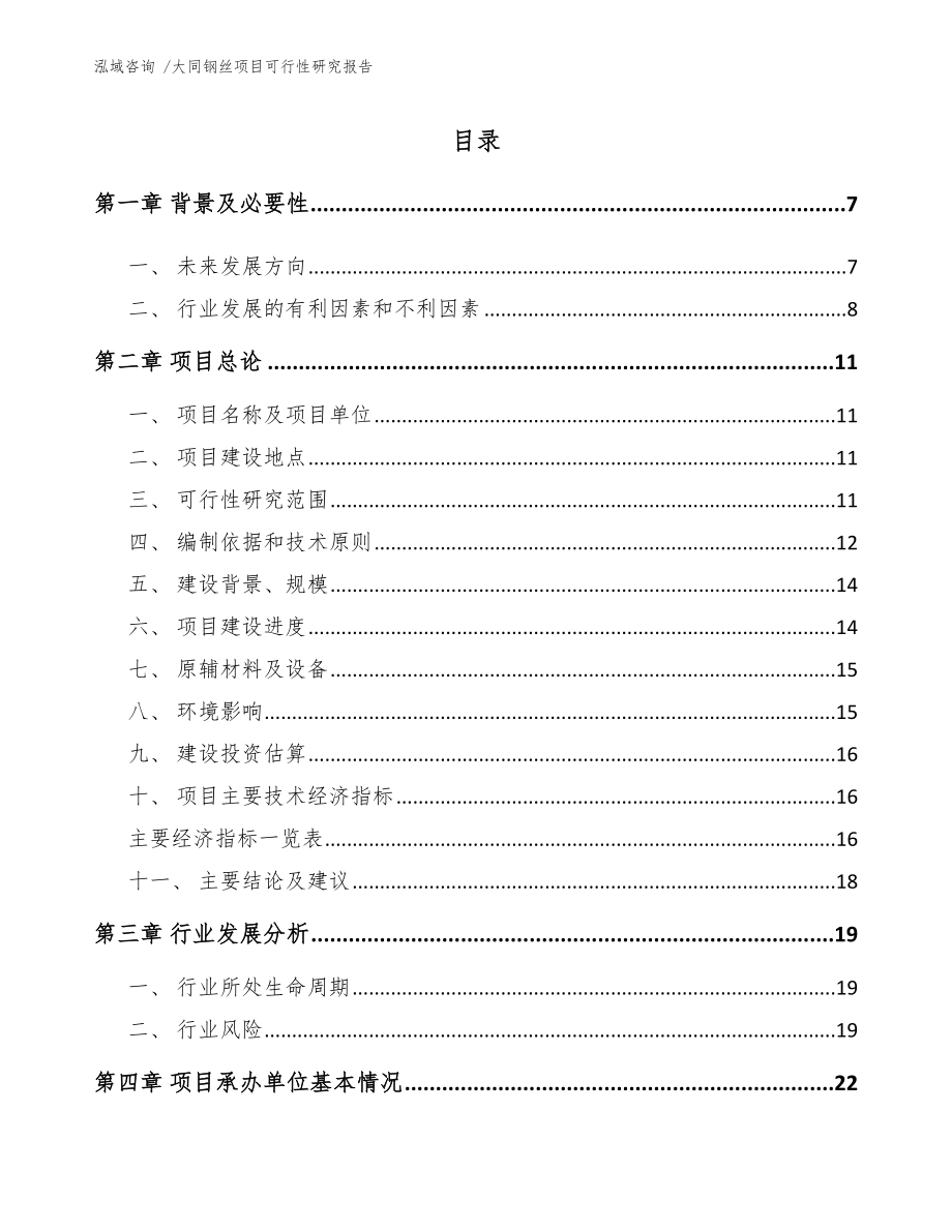 大同钢丝项目可行性研究报告范文参考_第1页