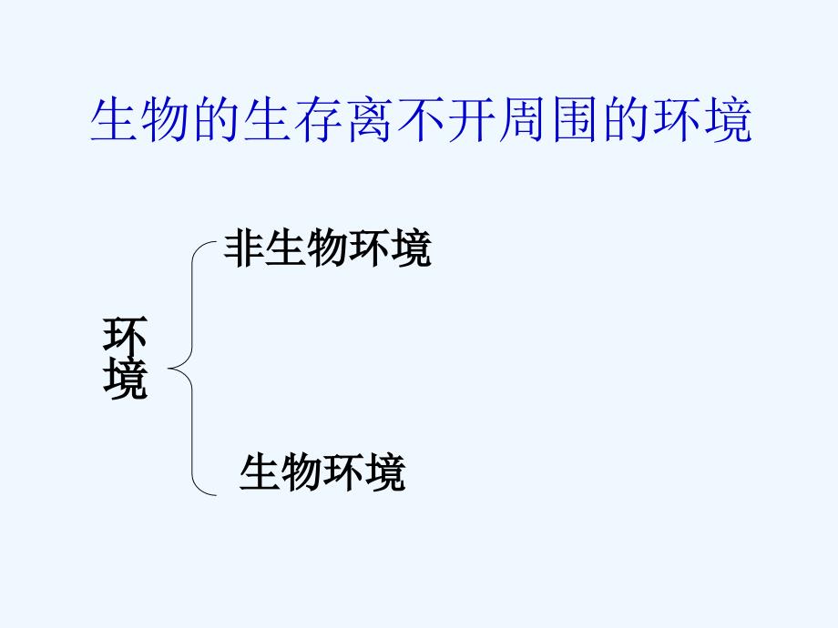 生物与非生物环境的关系_第4页