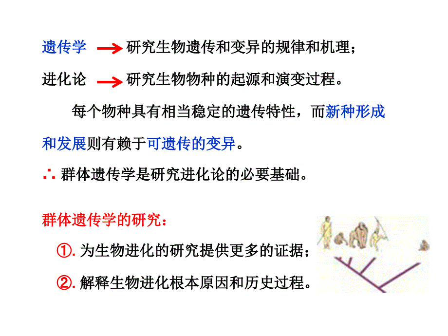 遗传学教学课件：14 第十四章 群体遗传与进化_第3页