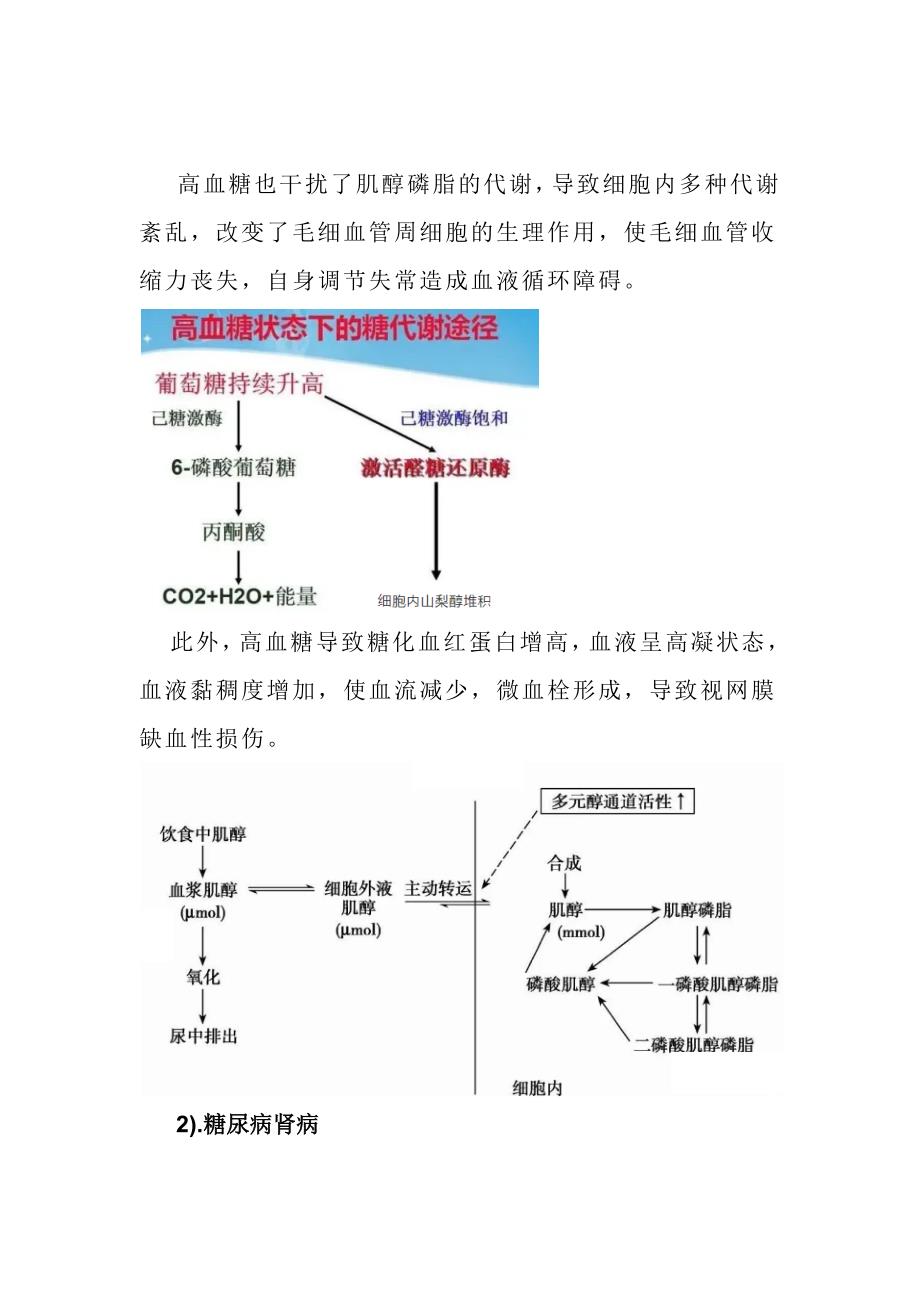 糖尿病及其并发症.docx_第3页