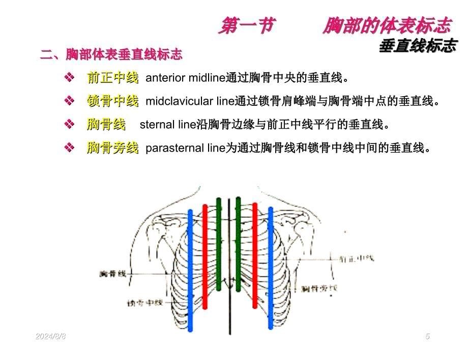 物理诊断学胸部及肺检查ppt课件_第5页