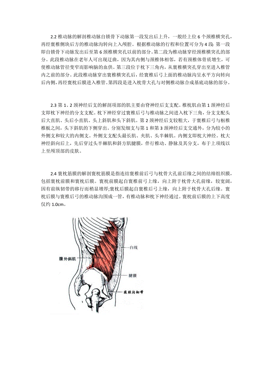 椎枕肌劳损的应用解剖及针刀治疗方案.docx_第2页