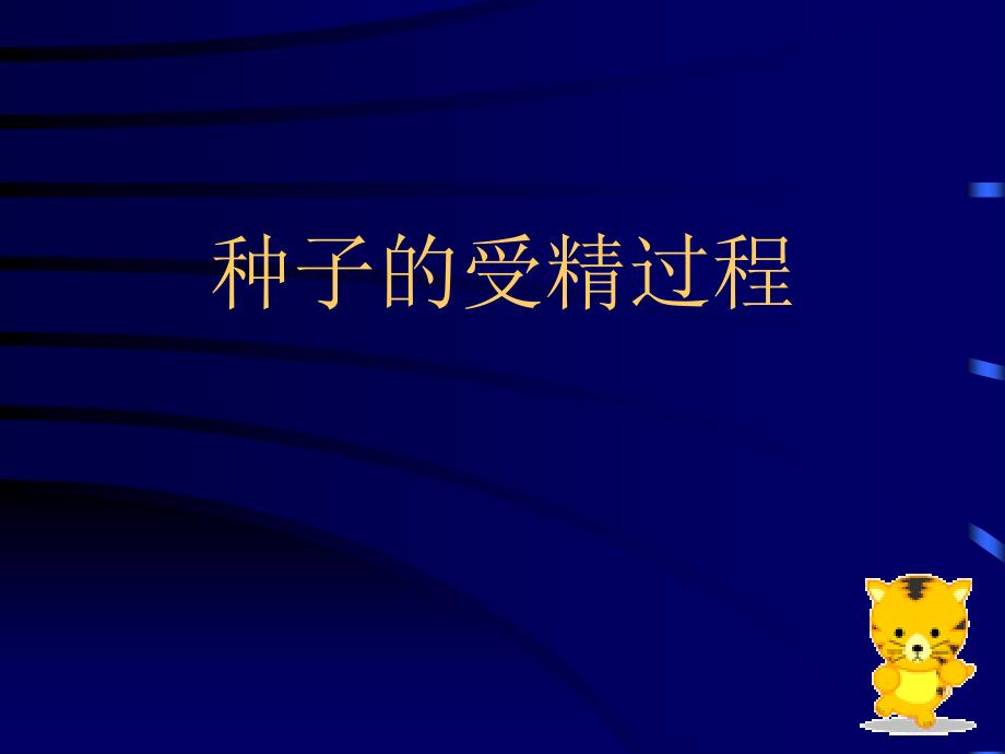 第一节种子的形成、发育和成熟介绍_第3页