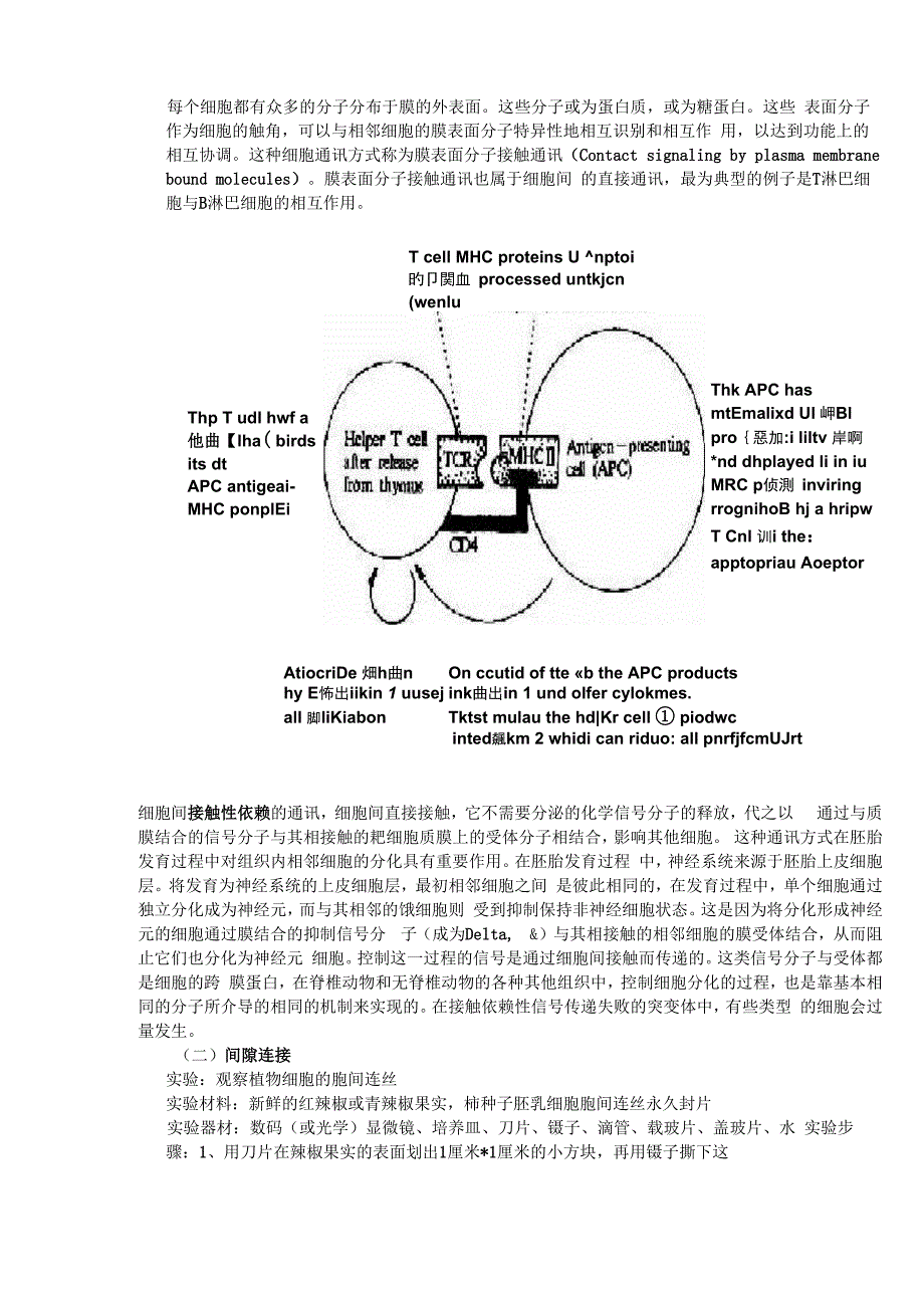 细胞间的信息传递_第3页