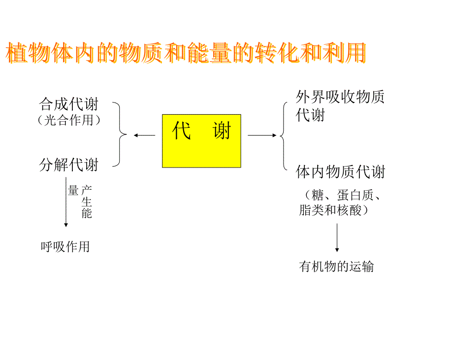 第四章呼吸作用_第2页