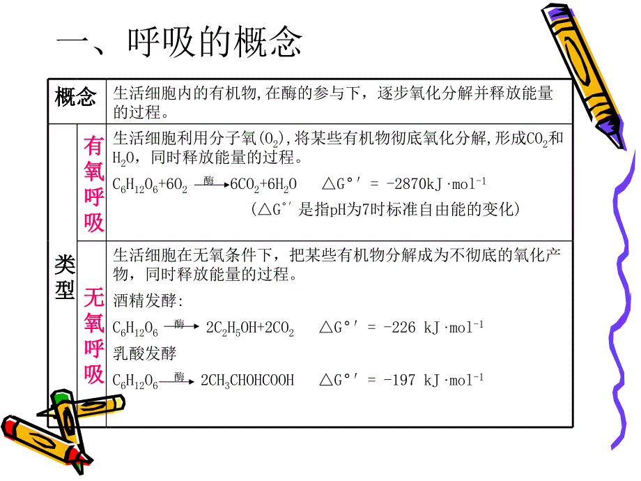 第四章呼吸作用_第4页