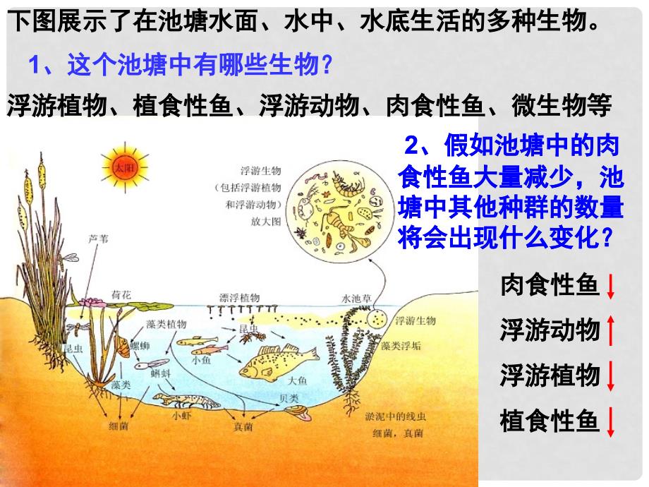 高中生物 4.3群落的结构同课异构课件 新人教版必修3_第2页