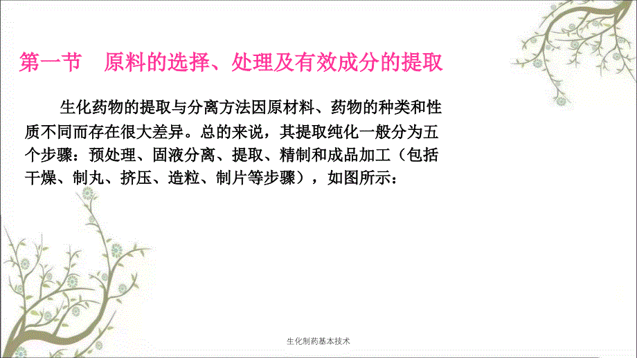 生化制药基本技术课件_第2页