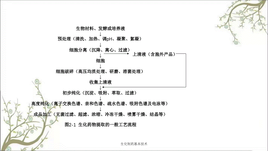 生化制药基本技术课件_第3页