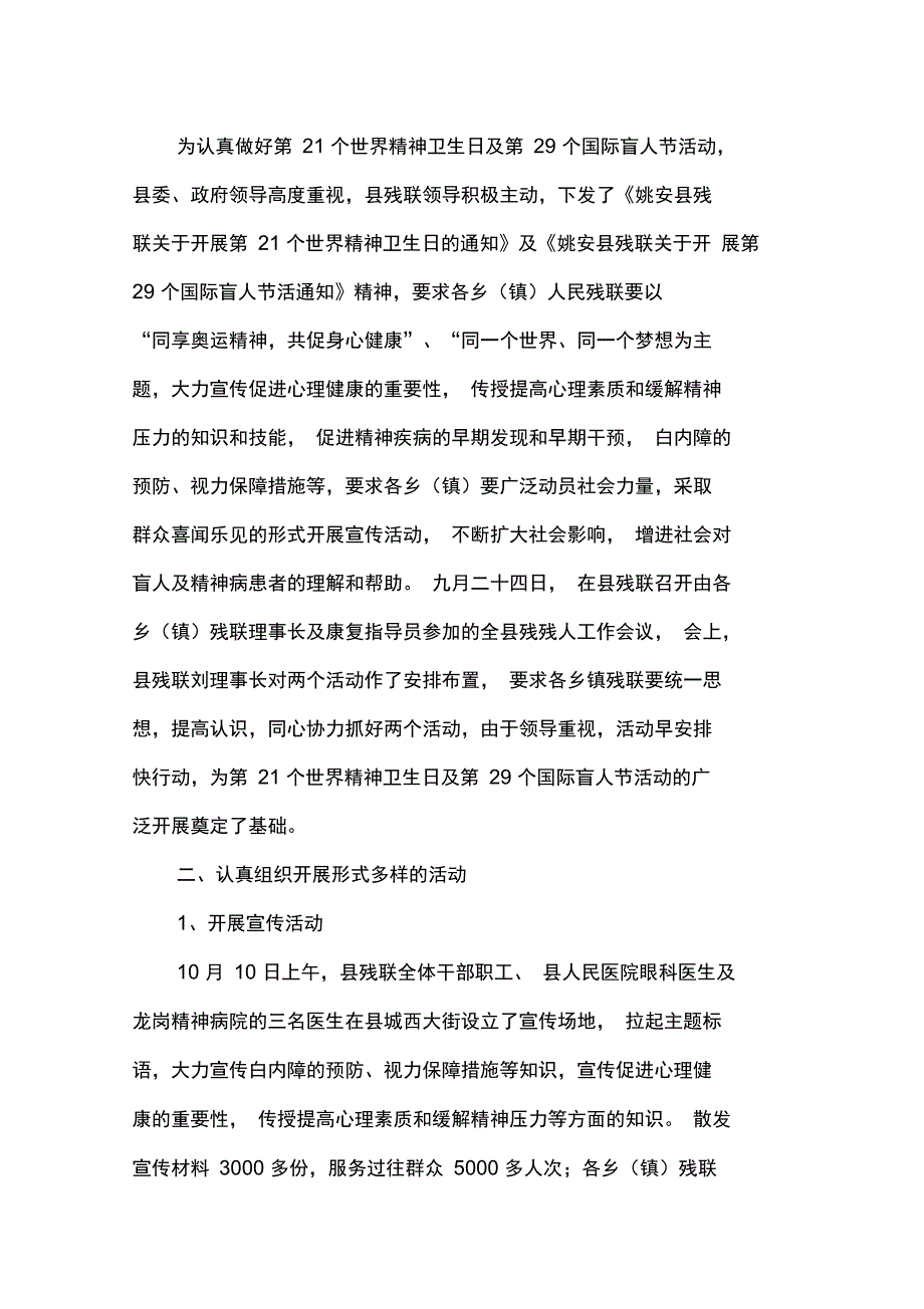 国际盲人节宣传活动总结_第4页