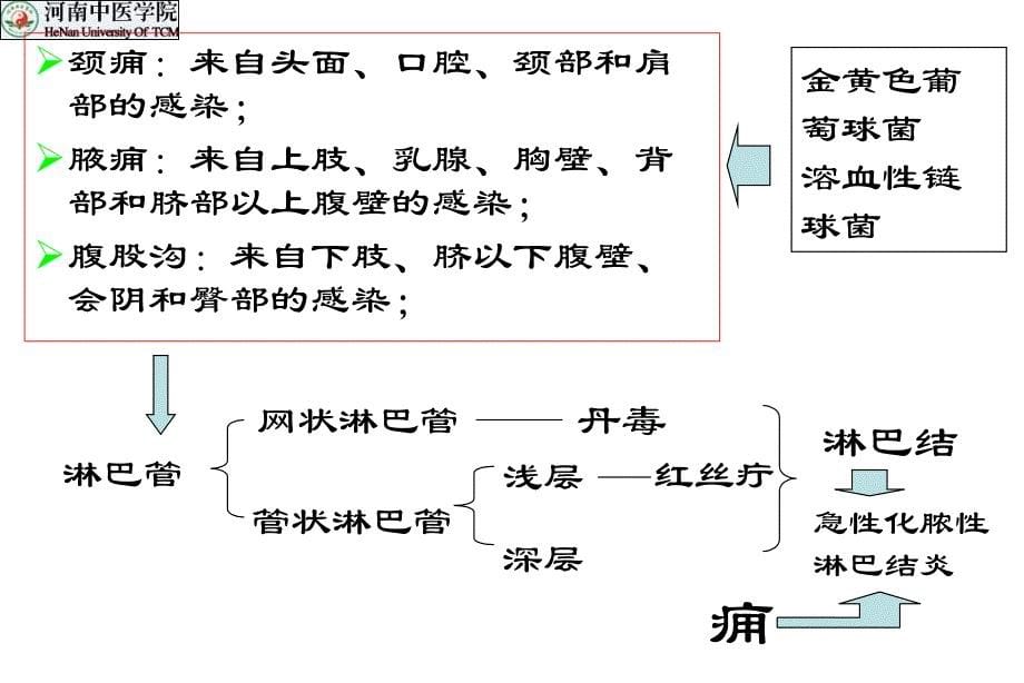 中医外科学痈_第5页