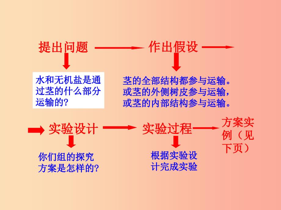 2019年七年级生物上册 5.5 运输作用课件（新版）北师大版.ppt_第5页