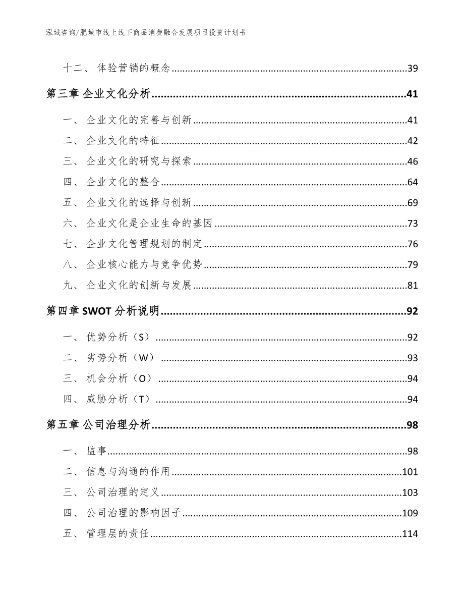 肥城市线上线下商品消费融合发展项目投资计划书_模板_第2页