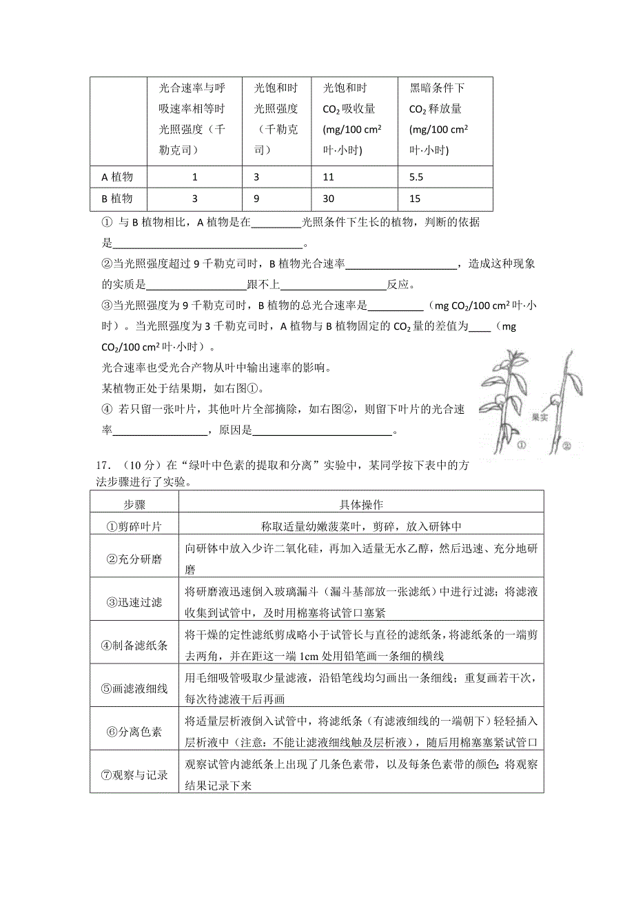 光合作用练习题_第4页