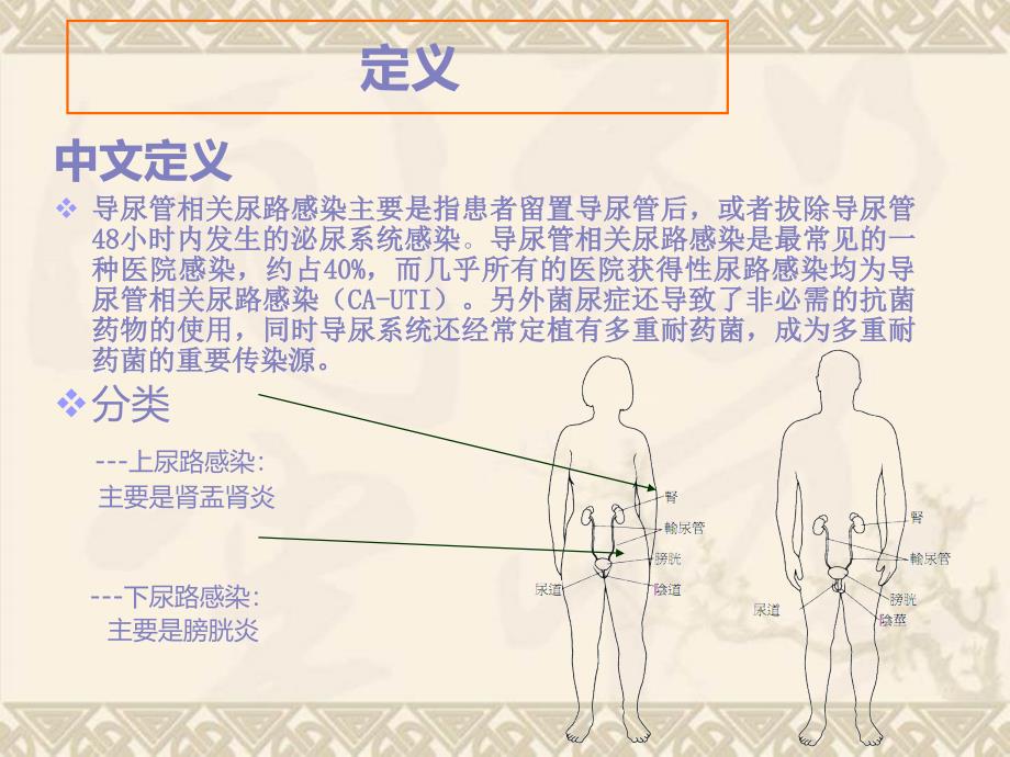 导管相关尿路感染_第2页