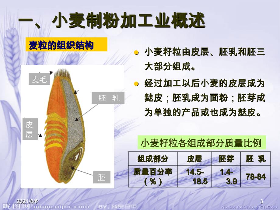 制粉加工业产品检验与分析_第3页