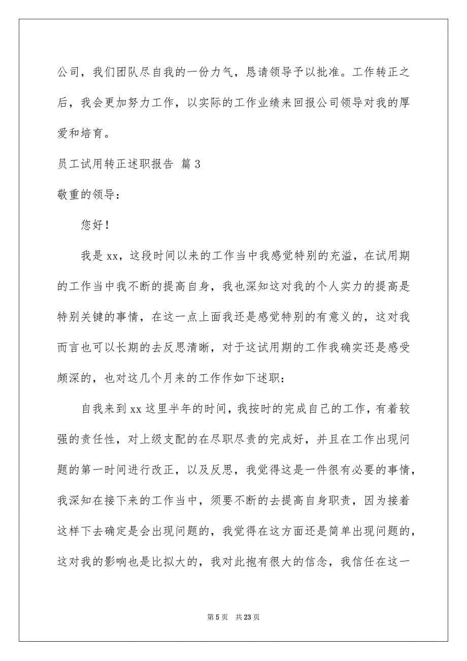 2023年员工试用转正述职报告1.docx_第5页