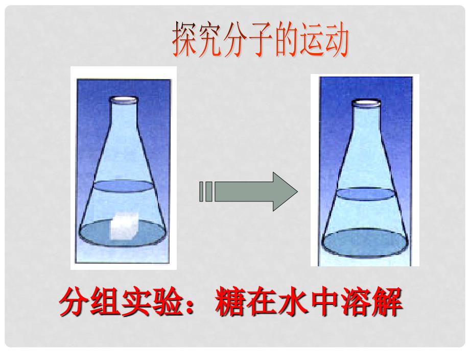 七年级生物上册 2.1.4细胞的生活课件 （新版）新人教版_第2页