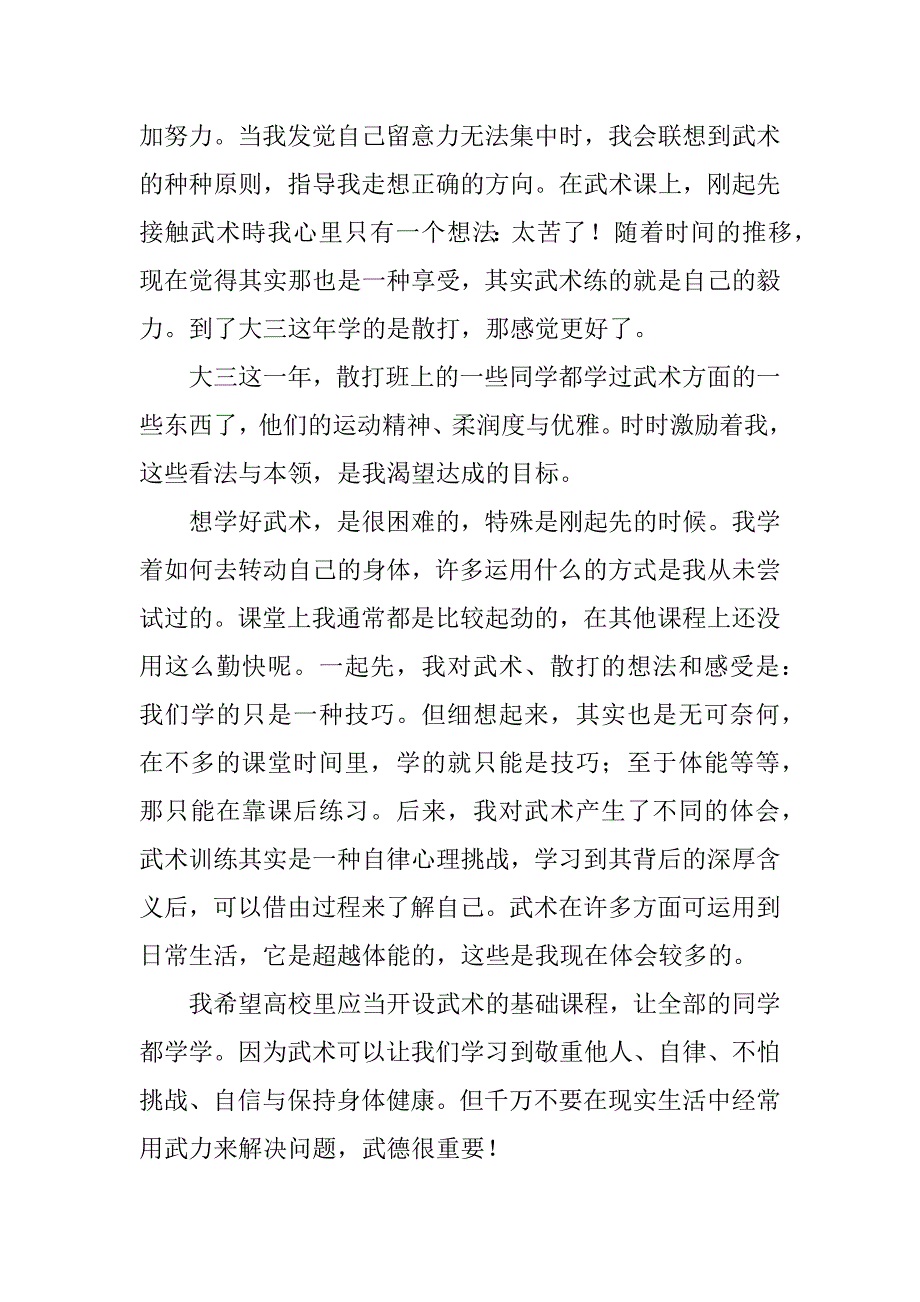 2023年打武术棍的心得体会6篇_第3页