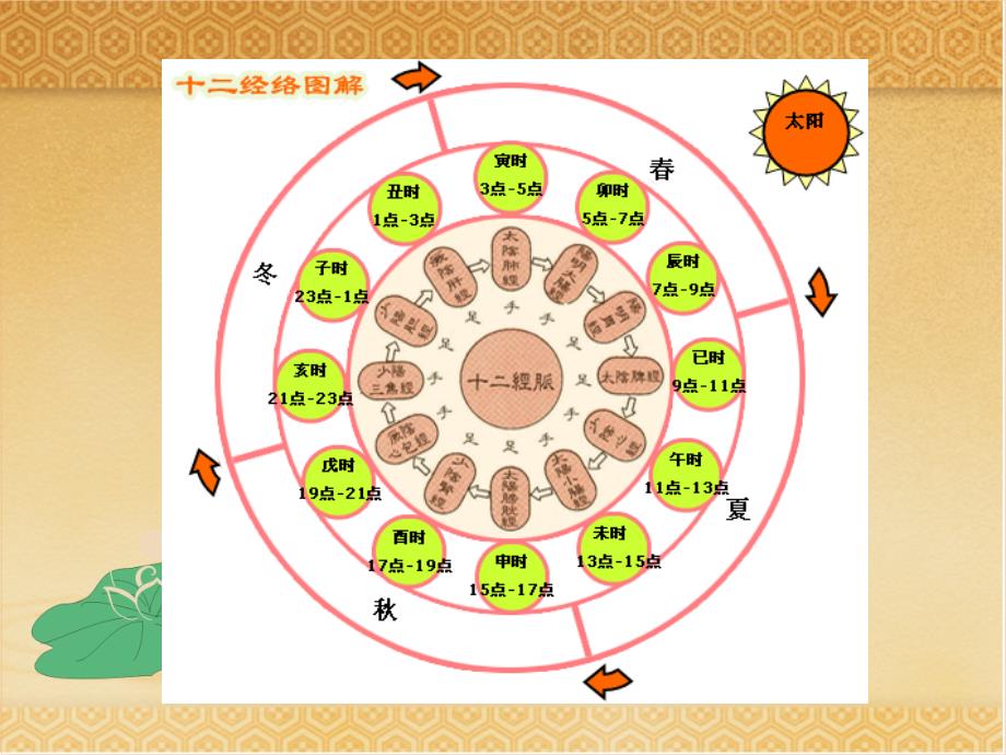 足太阴脾经的作用_第2页