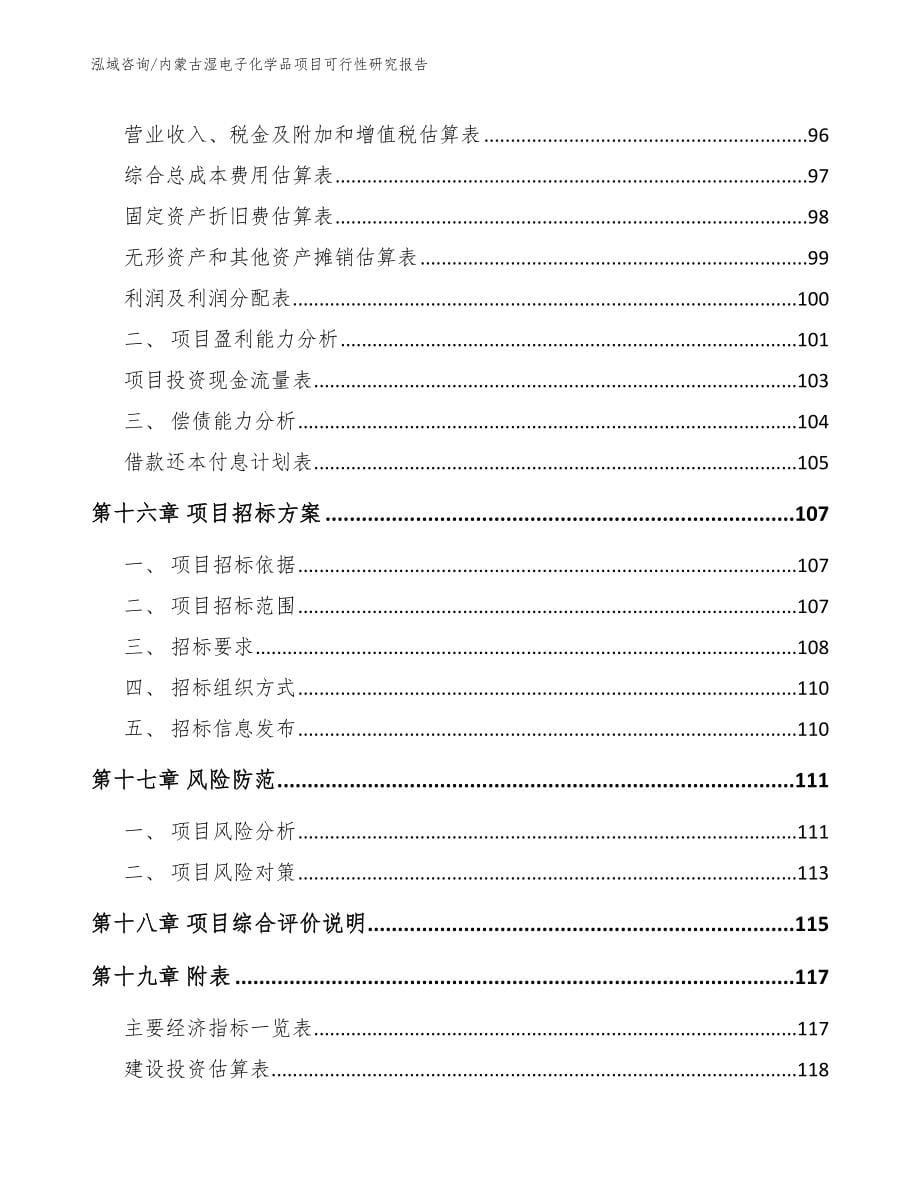 内蒙古湿电子化学品项目可行性研究报告【范文参考】_第5页