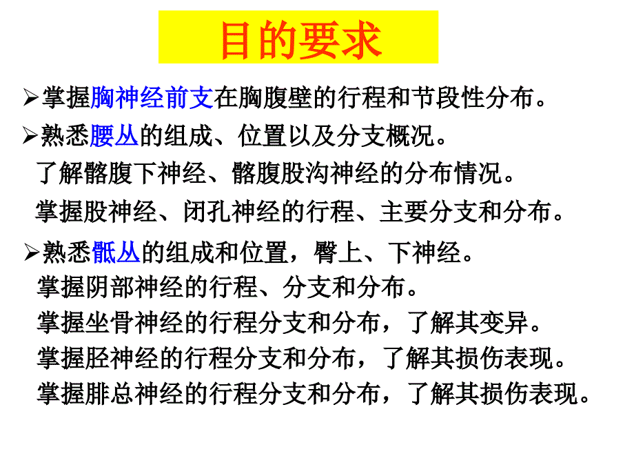 胸神经、腰丛、骶丛课件.ppt_第2页