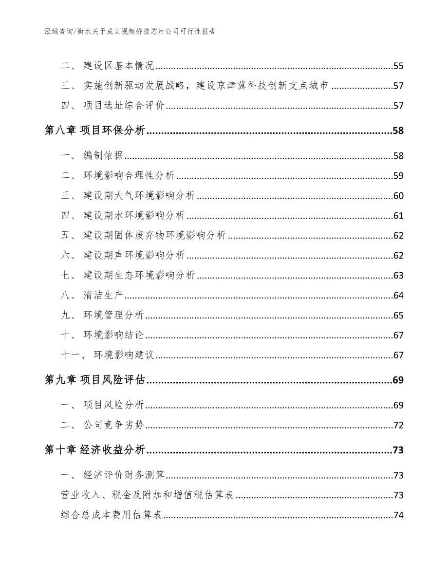 衡水关于成立视频桥接芯片公司可行性报告_范文_第5页