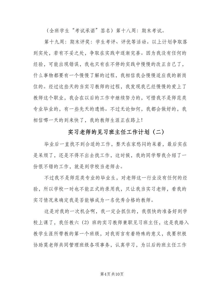 实习老师的见习班主任工作计划（三篇）.doc_第4页