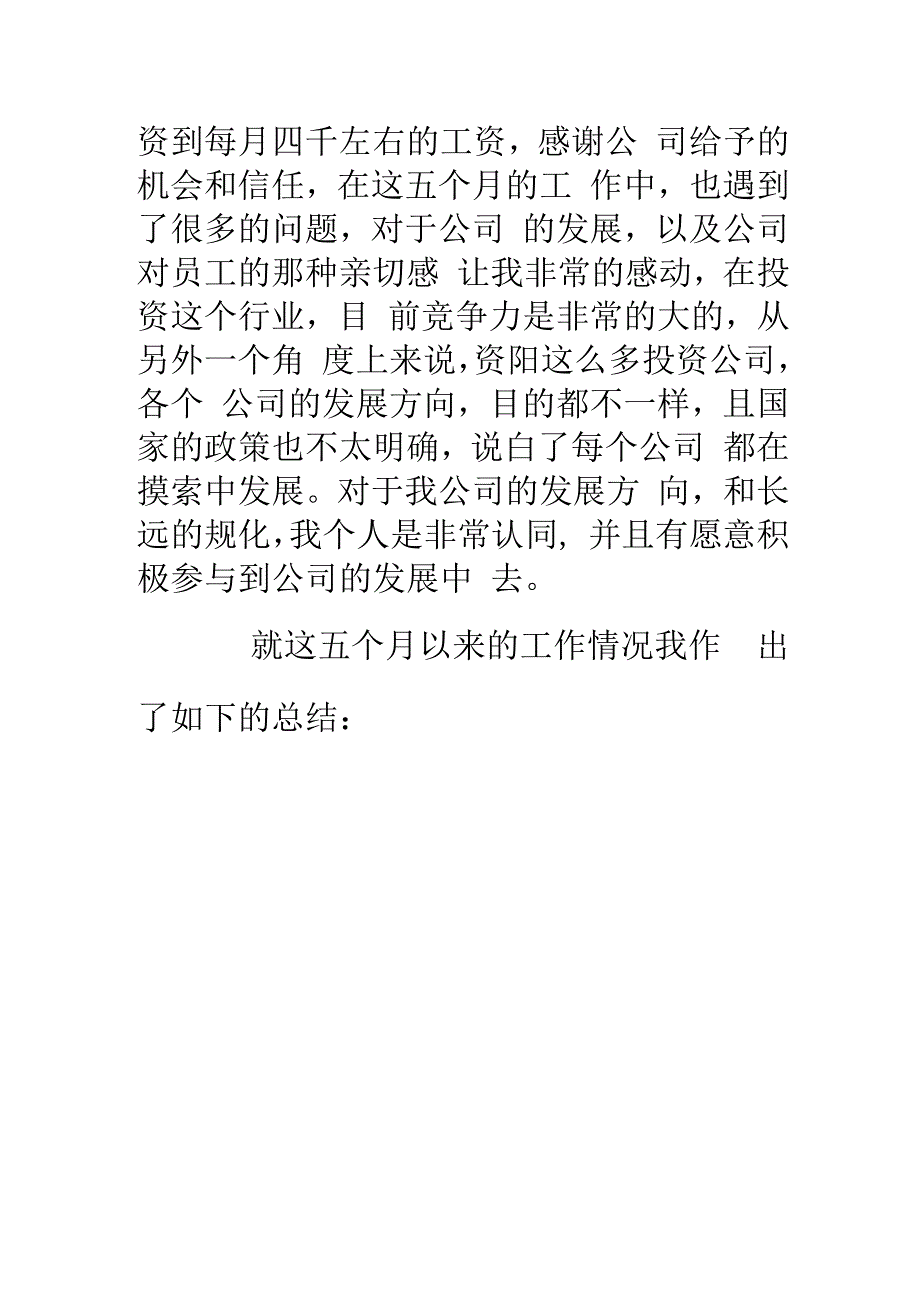 投资公司工作总结_第2页