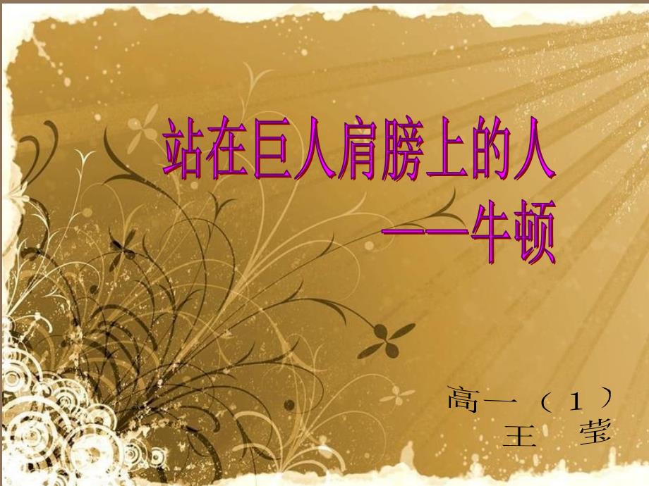 《物理牛顿介绍》PPT课件.ppt_第1页